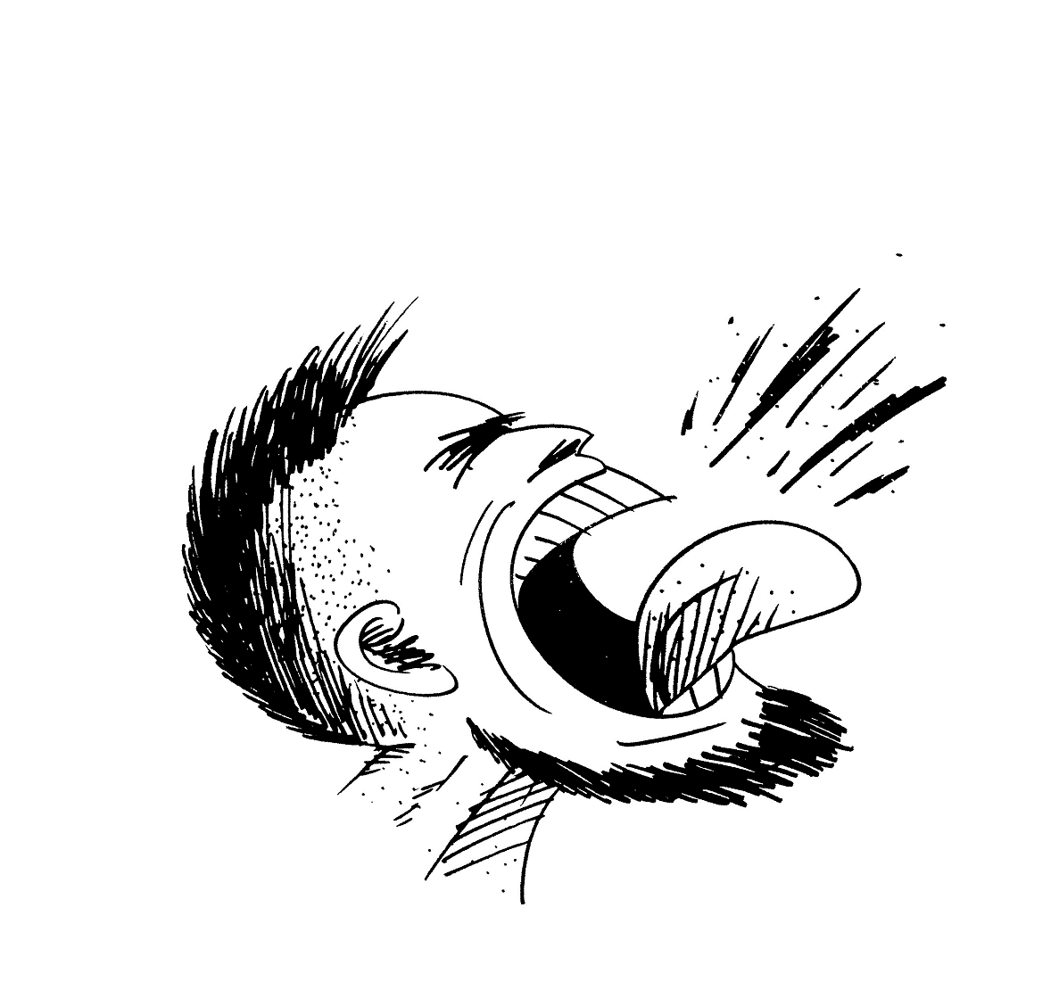 High Energy Lifestyle